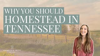Why You Should Homestead in Tennessee | Top 5 Reasons