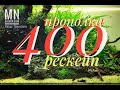 Акваскейпинг.  #Аквариум400литров  прополка и рескейпинг.