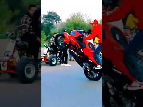 رفع مكن رايس علي الزيني