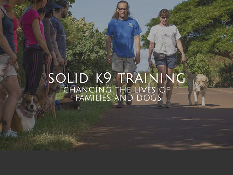 dog trainer in delhi Training anxious dog | Dog freaks around strangers | What Would Jeff Do? Q&A Dog Training Help