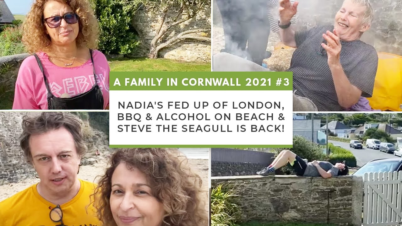 A FAMILY IN CORNWALL 3 NADIA'S Fed Up of London, BBQ & Alcohol on Beach & Steve the SEAGULL is BACK!