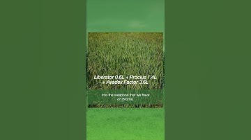 Weed management on a min-till farm