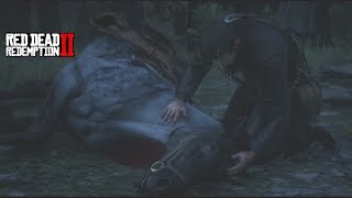 ... red dead redemption 2 arthur morgan horse death scene.