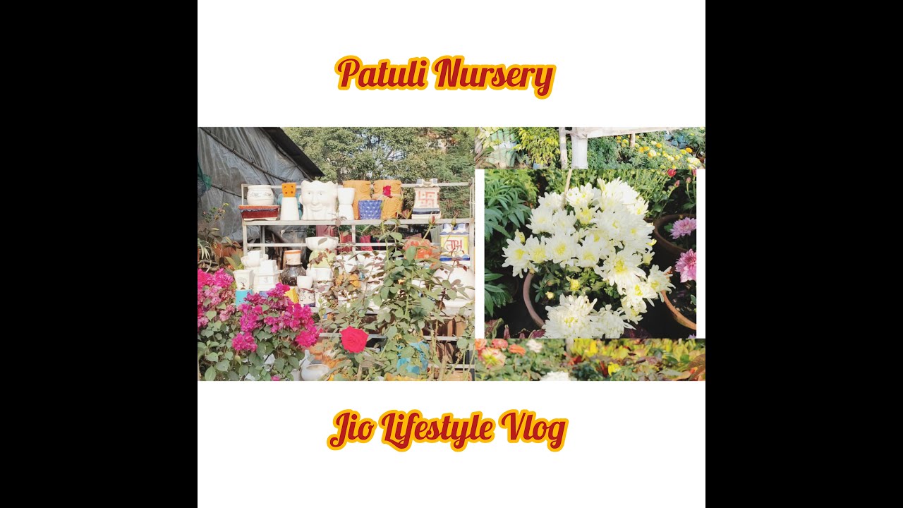 PATULI PLANT NURSERY KOLKATA CHEAPEST STREET SIDE NURSERY VISIT at PATULI SnehaDasqj5rc