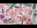 Diet alters the gut microbiome and immunological status in PLWH