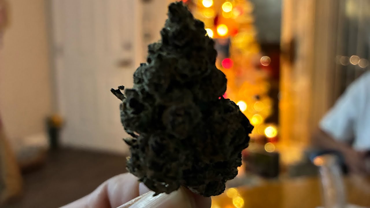 🌟 Join us for a special live episode of Exit 420 AZ! 🌟