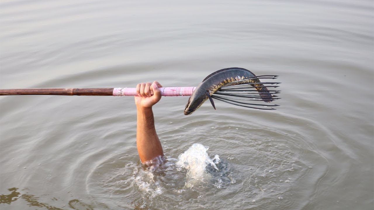 Kids Spearfishing & Catch Big Fish ❤️ Best Tata Fishing Moment// sahin fishing