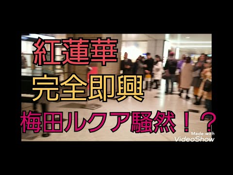 紅蓮華弾いたら梅田ルクアがコンサート会場に！？
