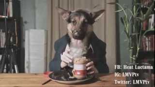 Funniest Human Dog Eating Peanut Butter