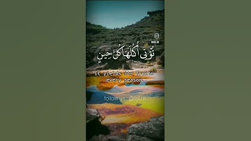 ألم تر كيف ضرب الله مثلا كلمة طيبة كشجرة طيبة / #تلاوة_خاشعة #ياسر_الدوسري