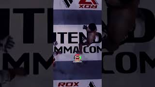 Celebrity JAVID BASHARAT KILLER IN THE RING #ufc Profile