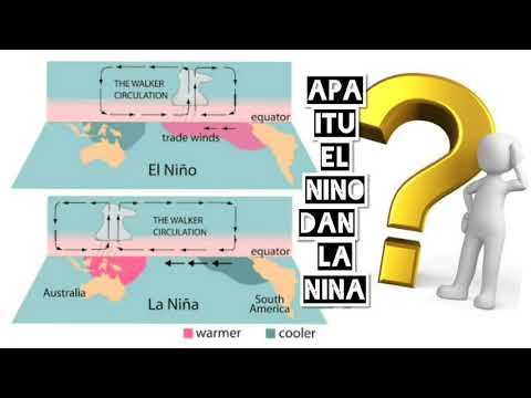 Video: Apa Itu El Niño? - Pandangan Alternatif