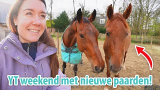 YT WEEKEND in BRABANT! Alleen maar PECH & NIEUWE PAARDEN MEE!