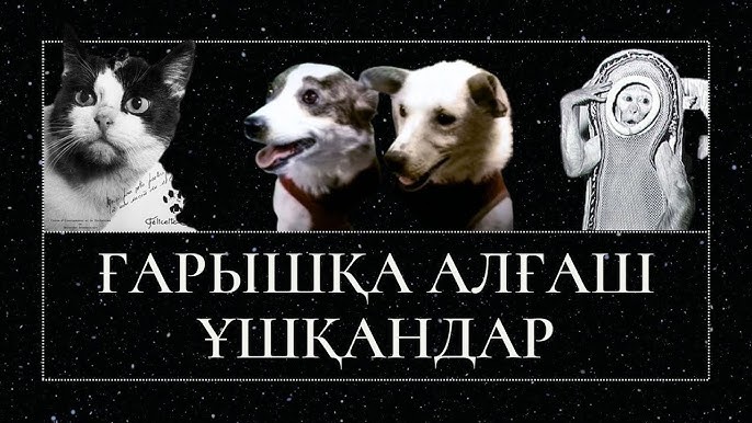 Олар ғарышқа дик ұшырды