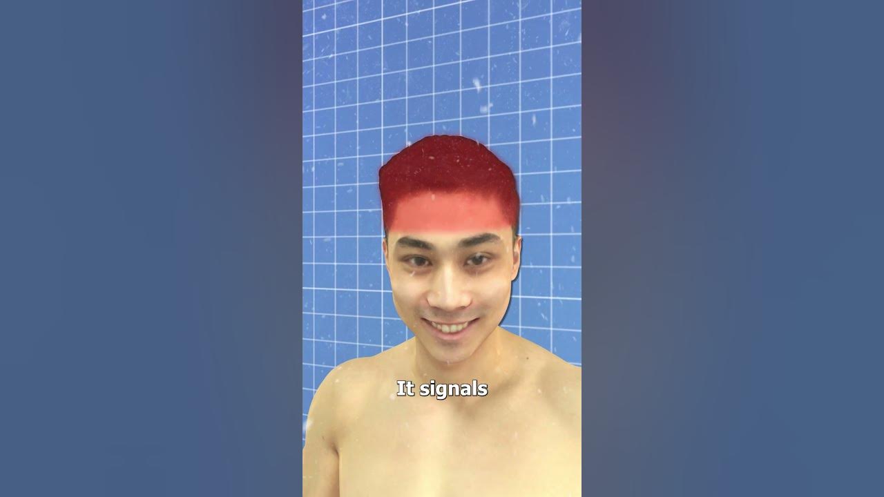 Why We Shiver When Cold 🤔 YouTube