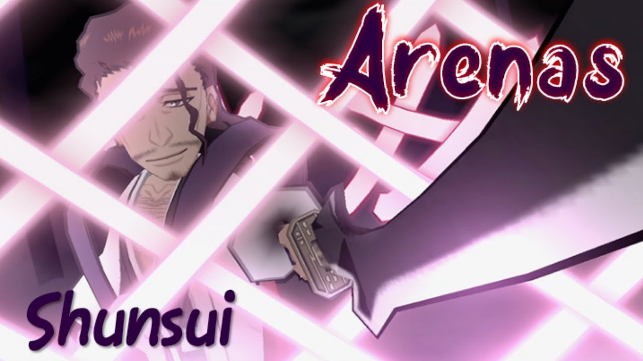 Beyond Bankai Shunsui Arenas Gameplay Bleach Brave Souls BBS YouTube