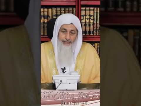 حكم شرب البيرة لعلاج حصوات الكلى