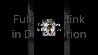 दव महलकषम शकतपठ. Devi Mahalaxmi Shaktipeeth -