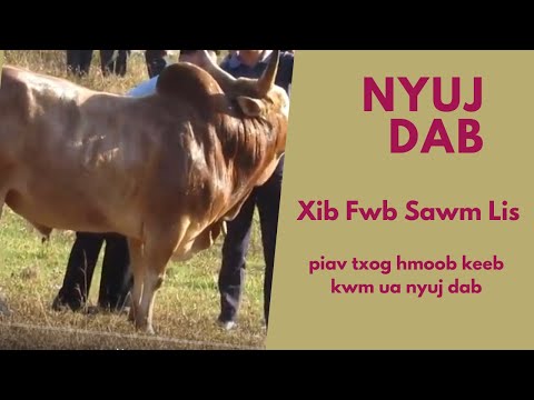 Video: Vim li cas spenny tshuav hma?