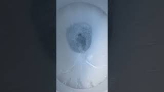 Durivat Toilet Flushes!!