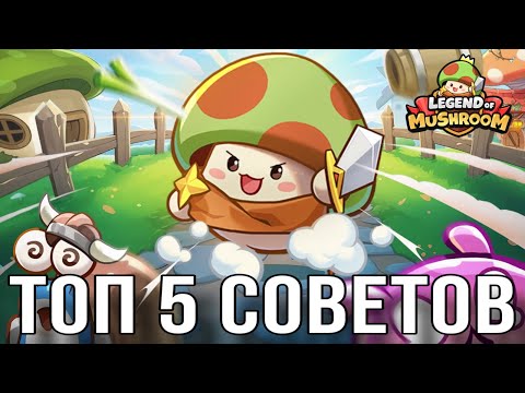 5 ГЛАВНЫХ СОВЕТА ДЛЯ НОВИЧКА В LEGEND OF MUSHROOM