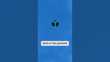 What is This Scary-Looking Hacker Tool? (Wireshark 🦈)