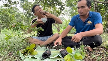 Cá lóc nướng trui