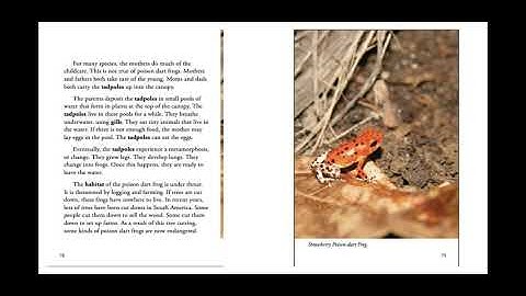 Chapter 9 The Poison Dart Frog