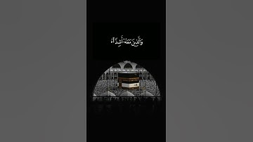 مُحَمَّدٌ رَسُولُ اللَّهِ وَالَّذِينَ مَعه أَشداءُ عَلَى الْكفارِ.... تلاوة جميلة بصوت اسلام صبحي 💗🌿