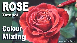 How to colour mix a Red Rose &  the Shadow. Pastel painting... Red Rose Study. Narrated Tutorial. screenshot 4