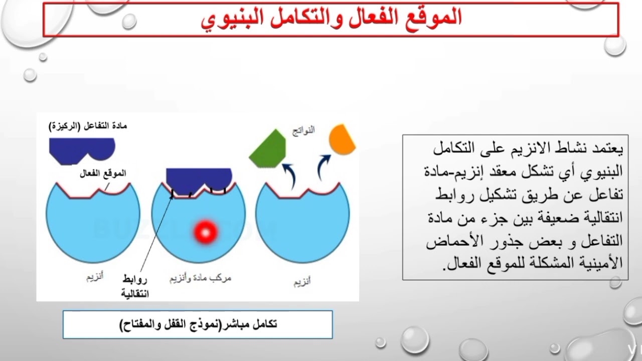 ملخص درس الانزيمات ثالثة ثانوي