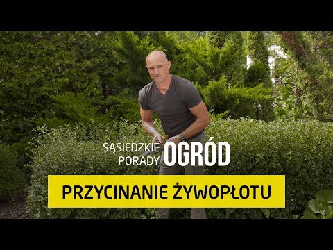 Wideo: Przycinanie Młodego Ogrodu