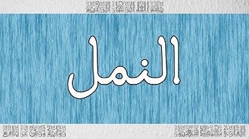 القرآن ورش القارئ محمد شهبون سورة النمل 027