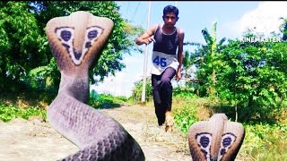 Snake Vs Man Snake Snake Video Mr Vfx