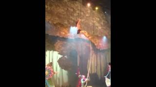 Disneyland Tarzan