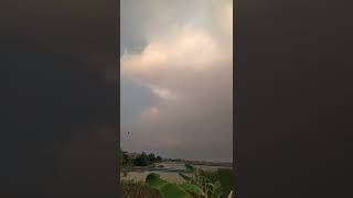 Pelangi Pelangi Alangkah Indahmupok Amai Amai Belalang Kupu Kupu shorts pelangi