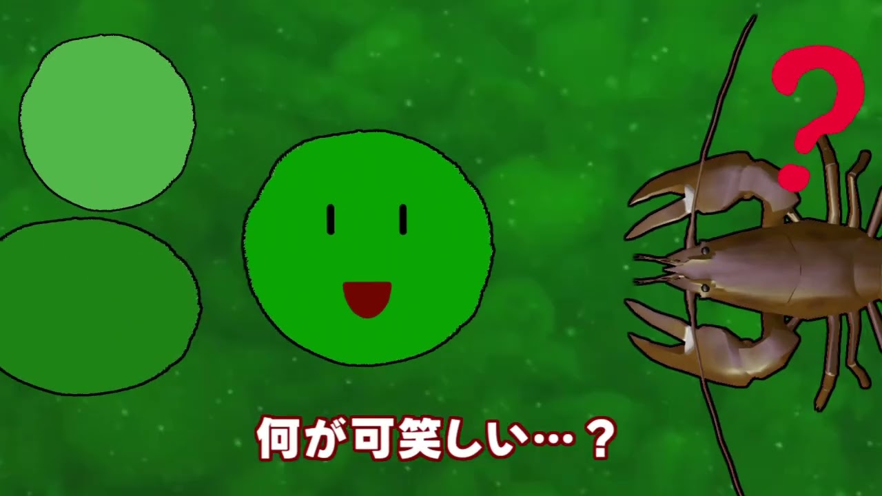 ショートアニメ「マリモくん」第5話：天敵登場！ - YouTube