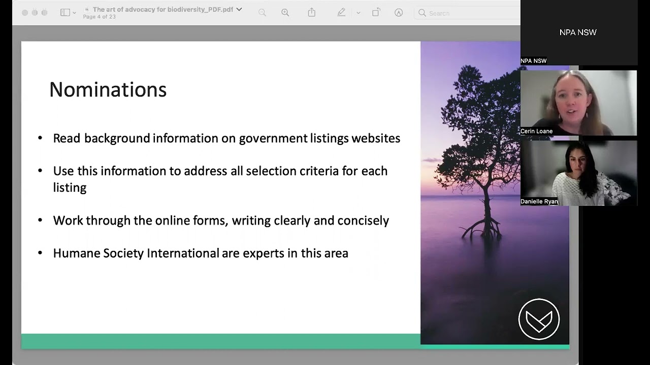 The art of writing submissions