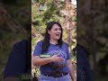 Discover the Desert: Manzanita Trail in Brian Head