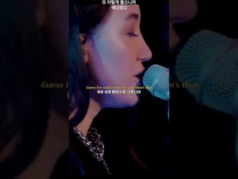 진짜 음색 미치겠다 새벽에 조용허게 듣기 너무 좋아 Alan Walker All Falls Down 한글 기사 해석