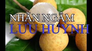 Thực hư tin đồn nhãn lồng Hưng Yên bị ngâm LƯU HUỲNH