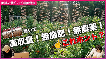 【閲覧注意】畑に銅線を刺すと野菜が巨大化？「フリーエネルギー栽培」の正体を暴きます。