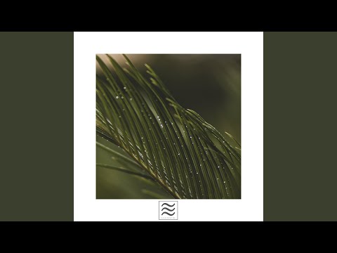 在 YouTube 上觀看「Немовлят заспокоюють спати з дощем」