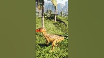 Raptors Stalking their Prey In The Most INTENSE Way