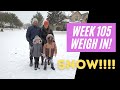 Week 105 Keto Transformation │Weekly Weigh In │Weight Loss Journey │Blizzard Conditions in Texas?!
