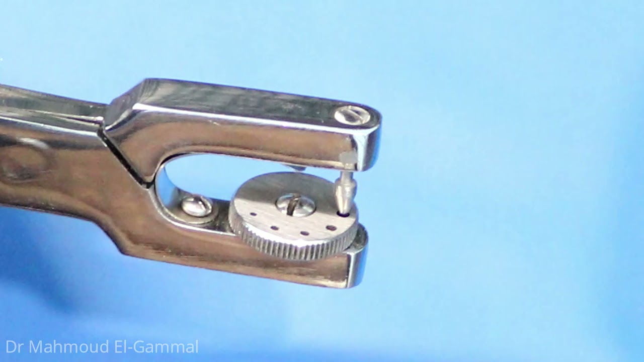 03 Rubber Dam Punch Dental Clinic