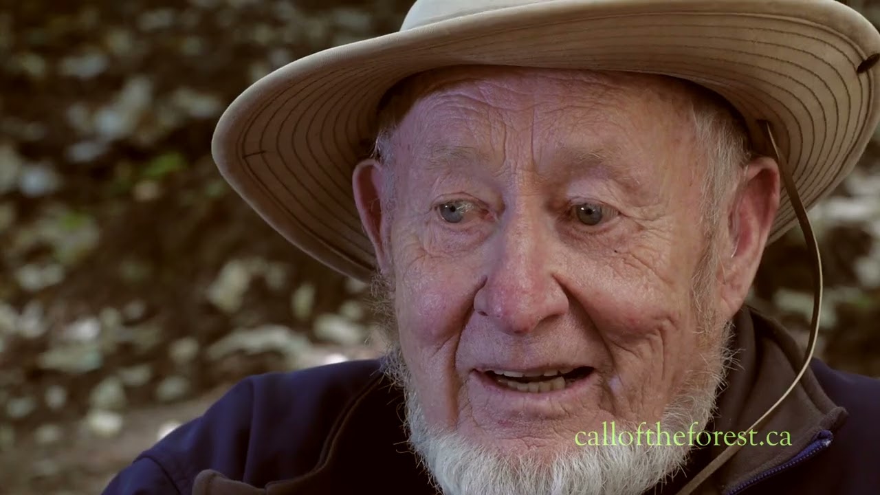 Trailer Call of the Forest