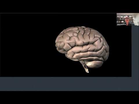 Brain Computer Interface – The Future Frontier of Neurosurgery