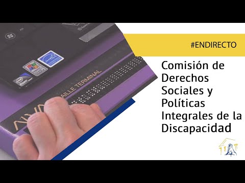 Comisión de Derechos Sociales y Políticas Integrales de la Discapacidad (28/10/2022)