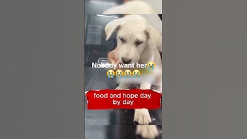 Buried in Garbage, Saved by Compassion🐶❤️